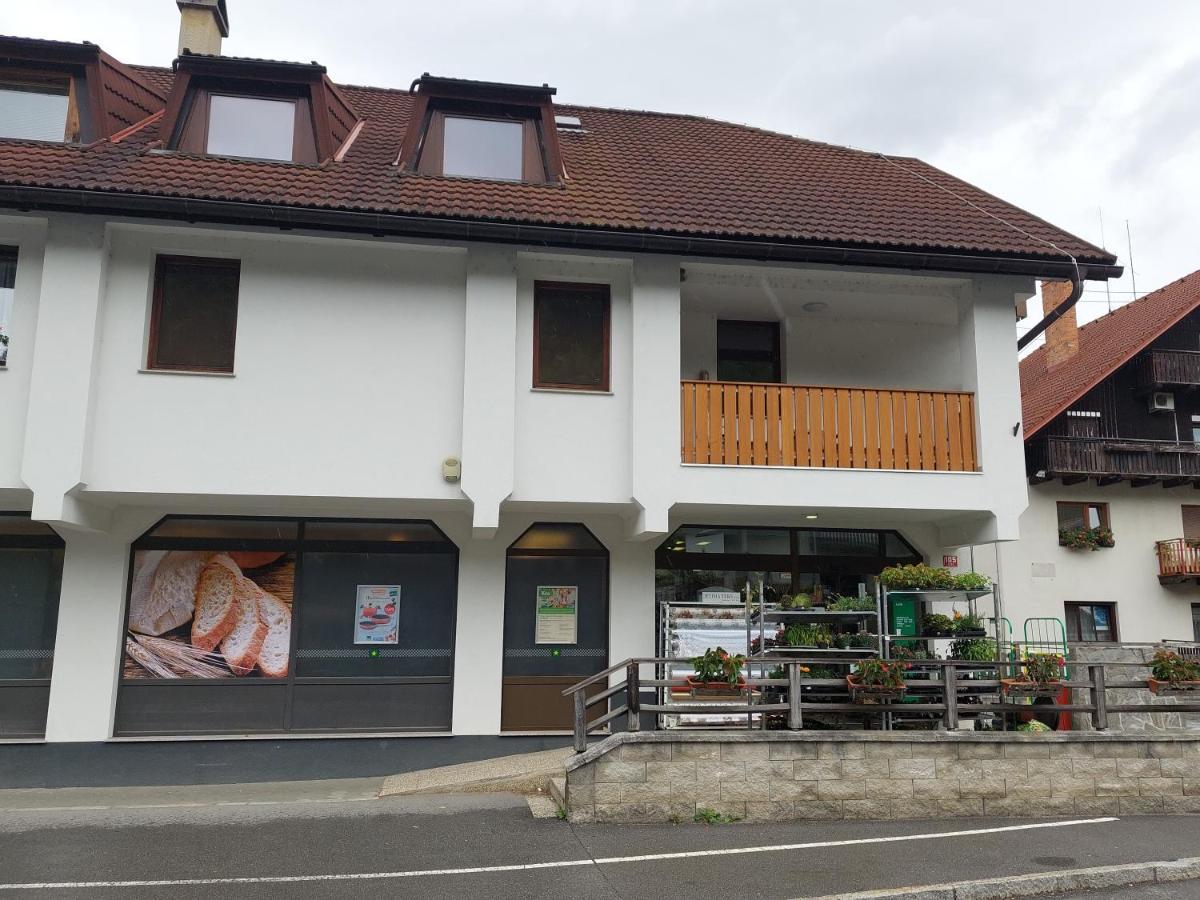 Apartment Veninsek Luče Zewnętrze zdjęcie